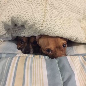 Meet your Posher, Michelle